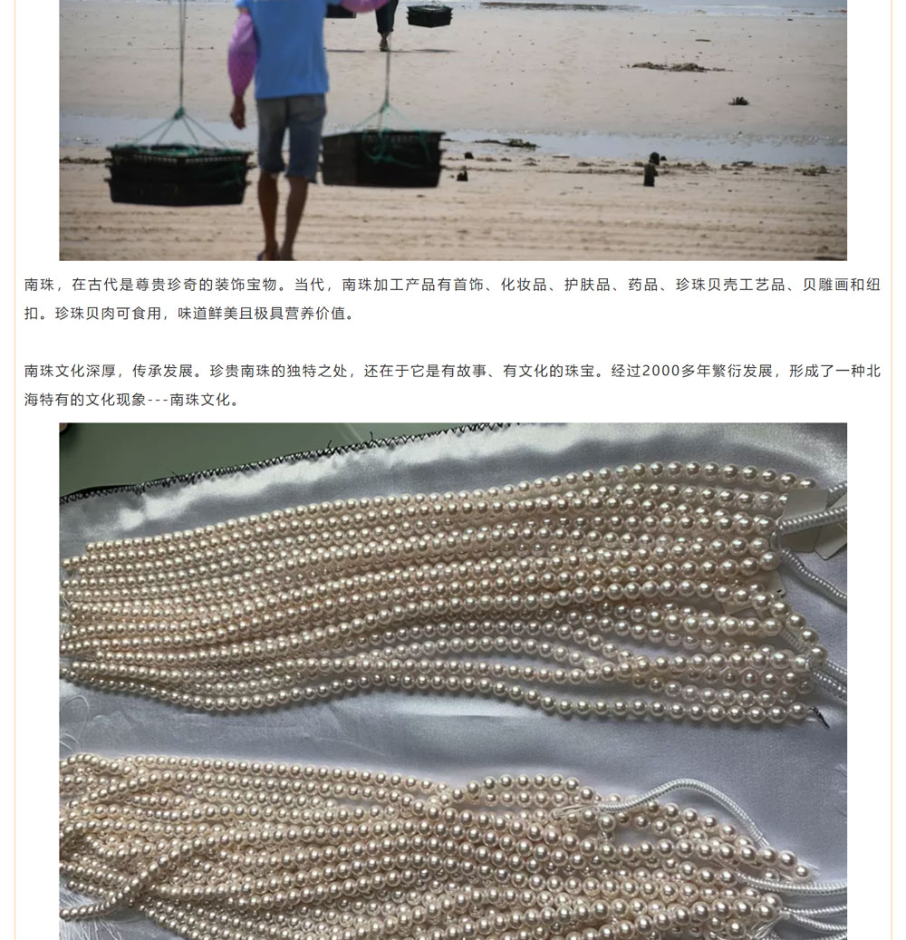 古老南珠，綻放異彩