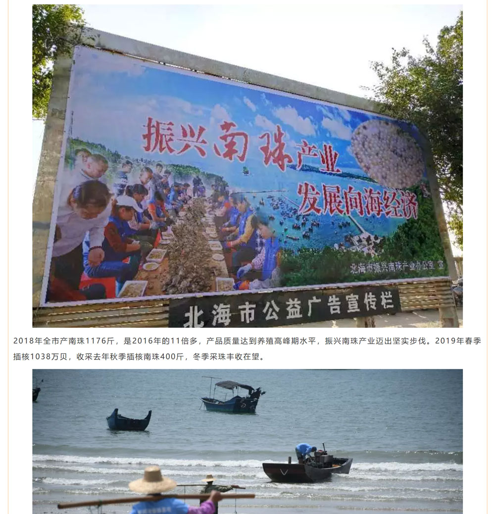 古老南珠，綻放異彩